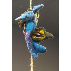 Litany Pod Details